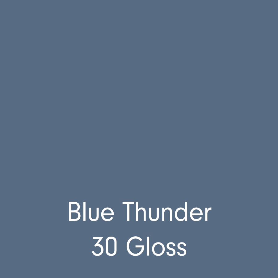 Blue Thunder (3